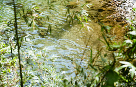 馬場自然づくり 二拠点生活19年目馬場未織さん、子3人連れて通い続けた南房総