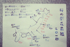 【日々のこと】2014年 桜の開化予想