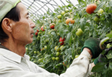 自然との戦い。