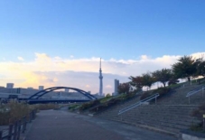 【考えたこと】全ての密度が高すぎる東京、いい意味でも、悪い意味でも。