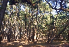 【日々のこと】地域の特性を体感する。