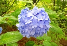 【日々のこと】九州は雨、東京は晴れ。