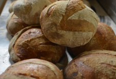 謎に満ちた「出張わざわざ」展。