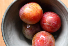 大好物はスモモ。