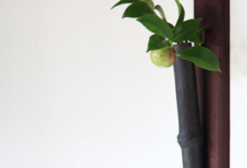 源太窯の花さし。