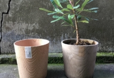 【イベント/商品紹介】植木鉢も作っています〜ろくろ舎の仕事展はじまりました〜