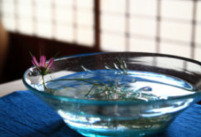 涼しげなガラス