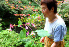 立花町の女性は面白い①。大内邸 田中真木さん。