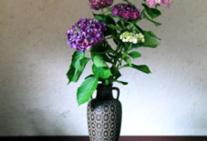 紫陽花と骨董屋で買った花瓶。