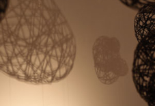 竹の可能性 – シゲキバへ。