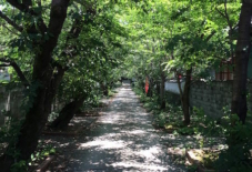 【雑感にょろり】酒井田柿右衛門のルーツ。地名に残る人々の痕跡。