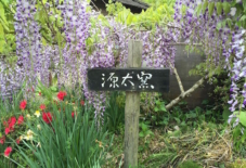 【雑感にょろり】季節を切り取る 源太さんの焼き物