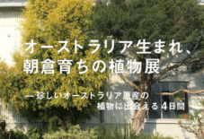 【イベント】オーストラリア生まれ、朝倉育ちの植物展