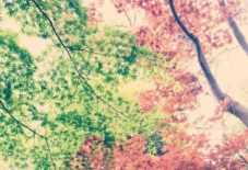 【考えたこと】東京の密度と八女の密度