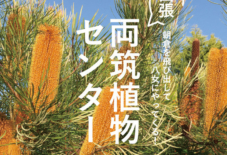 【イベント】出張 両筑植物センター -2019- 全4回講座