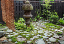 庭と苔と石。
