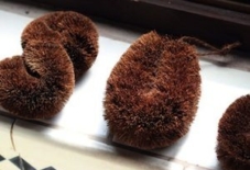 【商品紹介】棕櫚のたわし（S字、小、ちびまる）