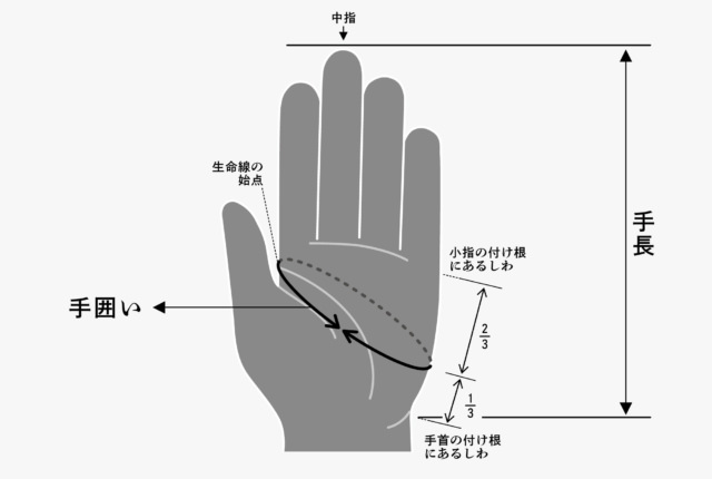 婦人鹿革手袋 | 商品一覧 | 地域文化商社 うなぎの寝床