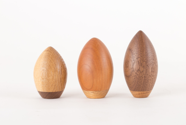 どんぐり コロコロころがるドングリとカラフルな木。お部屋に光をとりこむ