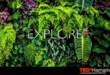 TEDxHamamatsu 2022(11月13日開催)に代表の白水がスピーカーとして参加します。