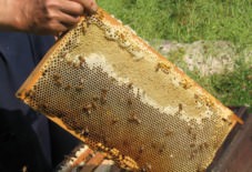 【産地としての八女】資源と技術をつなぐ八女での取組み － みつろう編 －