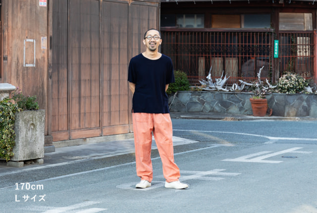 コペさま TOMIX 98454 キハ185系アラウンド・ザ・九州を特急ゆふへ仕上げます③