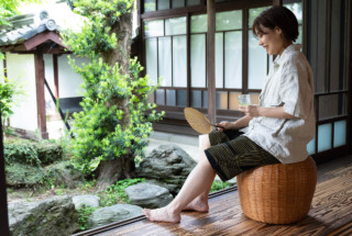 ステテコ 根っこ