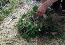 【八女 / 旧大内邸・12月イベント】 楠田商店の野草に触れるリース教室 と 小箱の吹き寄せ弁当