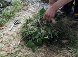 【八女 / 旧大内邸・12月イベント】 楠田商店の野草に触れるリース教室 と 小箱の吹き寄せ弁当