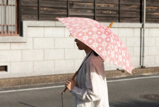 ツタエノヒガサ 久留米絣(機械織・化染) 緯絣