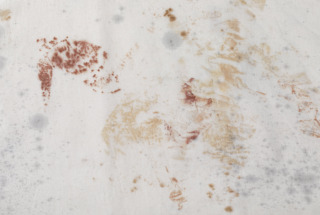 ワイドシャツ Harvest