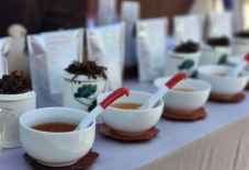 【八女 旧大内邸】お茶の千代乃園 「30種類のお茶を飲み比べ “知らない”に出会う探茶会」