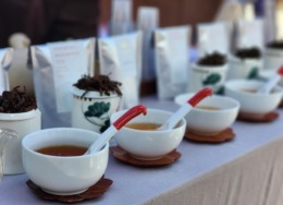 【八女 旧大内邸】お茶の千代乃園 「30種類のお茶を飲み比べ “知らない”に出会う探茶会」