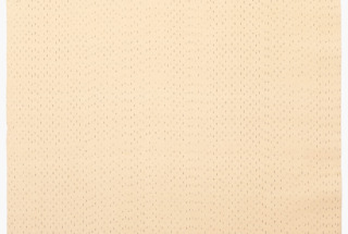 経絣 1m ③猫毛雨