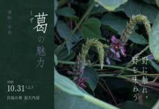【八女 / 旧大内邸・10月イベント】 余韵　野に触れ、野を味わう ―葛の魅力―