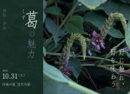【八女 / 旧大内邸・10月イベント】 余韵　野に触れ、野を味わう ―葛の魅力―